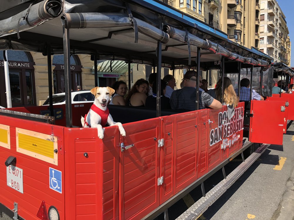 Tren turístico San Sebastián