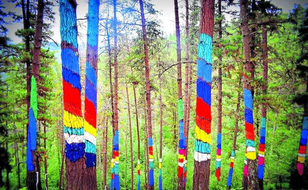 Bosque de Oma