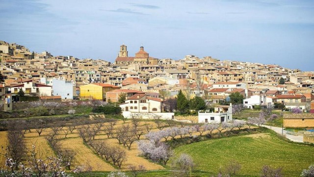 Calaceite