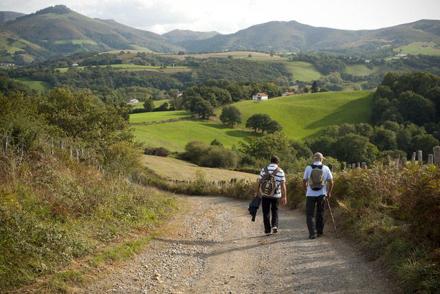 Camino de Santiago Orio