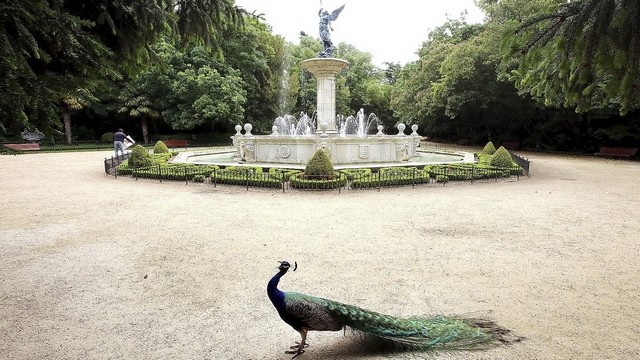 Campo Grande