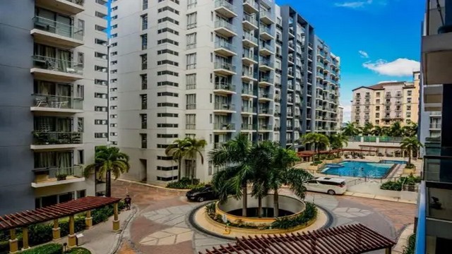 Condo Palm Tree