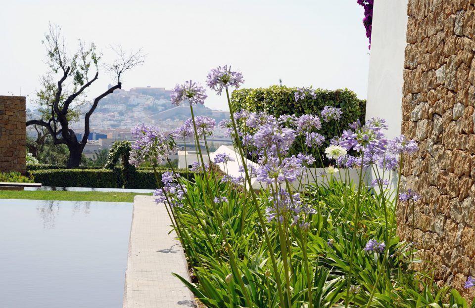 Casa Maca Ibiza
