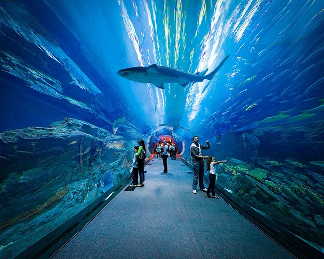 Dubai Aquarium