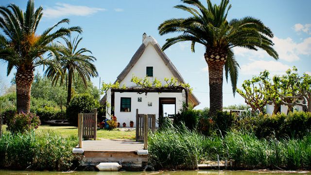 El Palmar