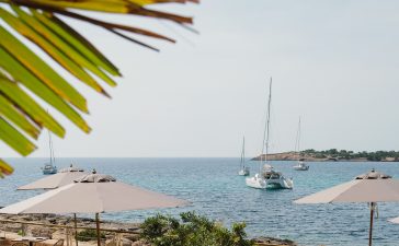 Monkey Ibiza