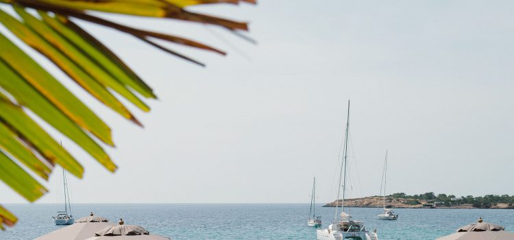Monkey Ibiza