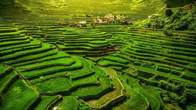 Las terrazas de arroz