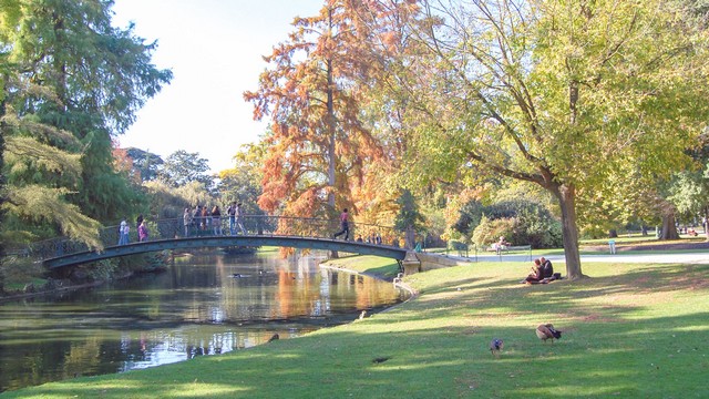 Le Jardin Public