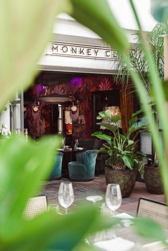 monkey-club-marbella