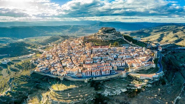 Morella