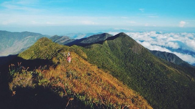 Mount Halcon