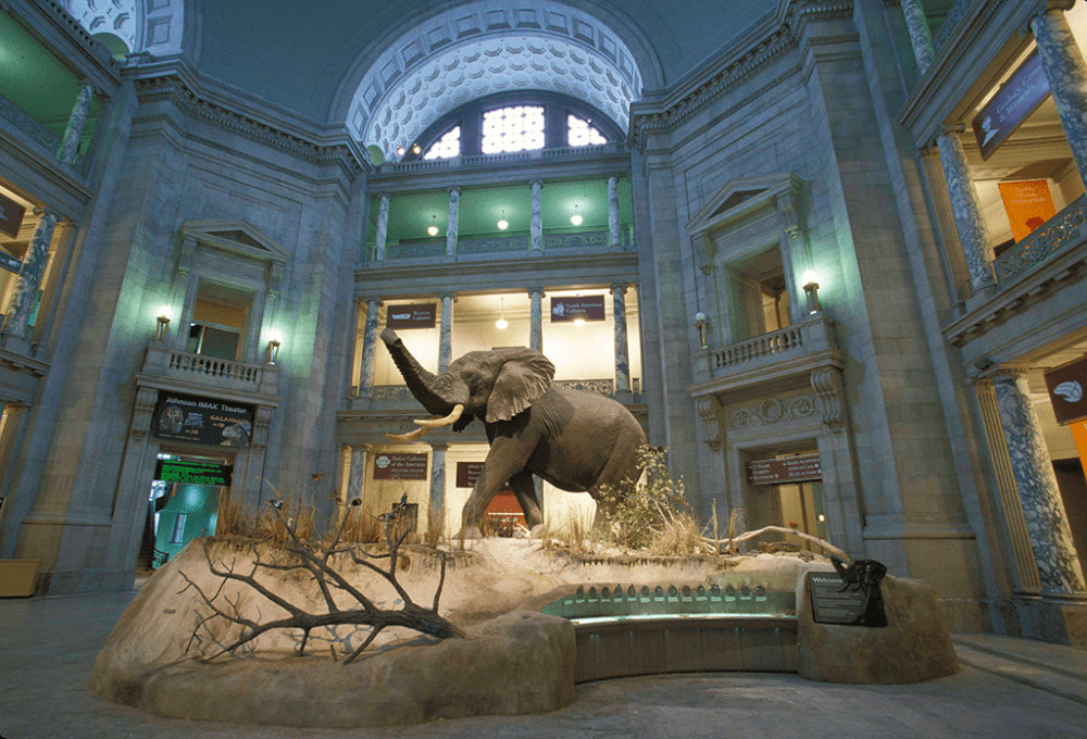 Museo Nacional de Maldivas - qué ver en Maldivas
