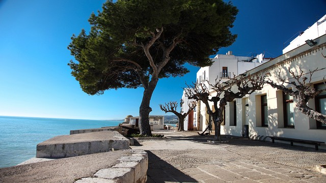 Museo del Mar