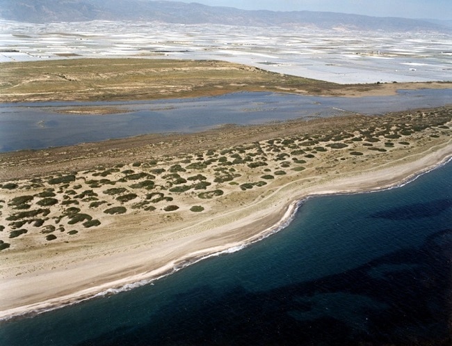Paraje Natural Punta Entinas-Sabinar