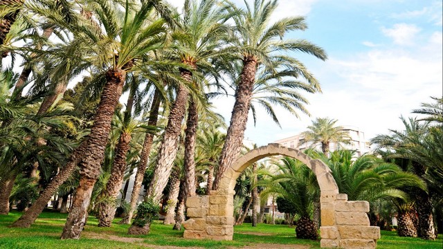 Parque Municipal de Elche