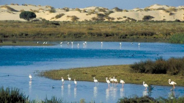 Parque Nacional de Doñana