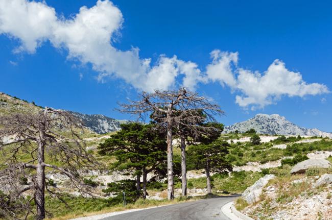 Parque Nacional de Llogara