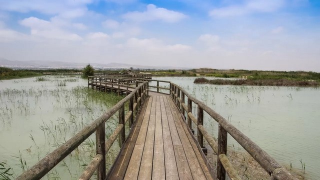 Parque Natural El Hondo