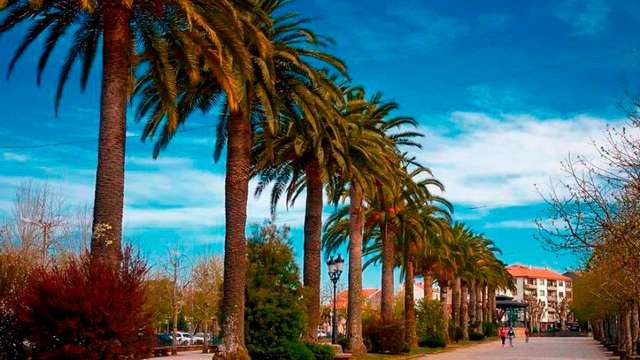 Parque da Alameda