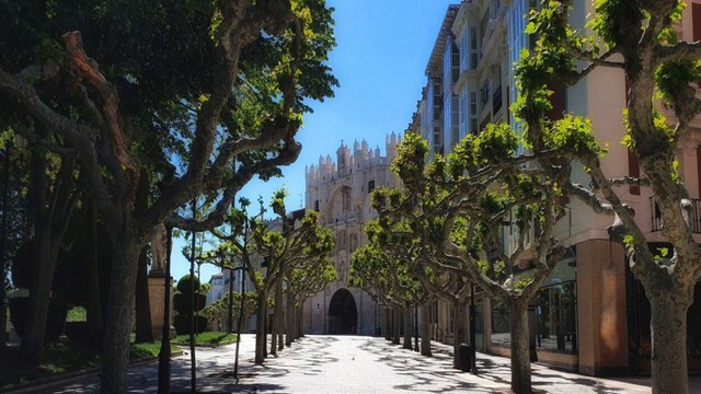 Paseo del Espolón