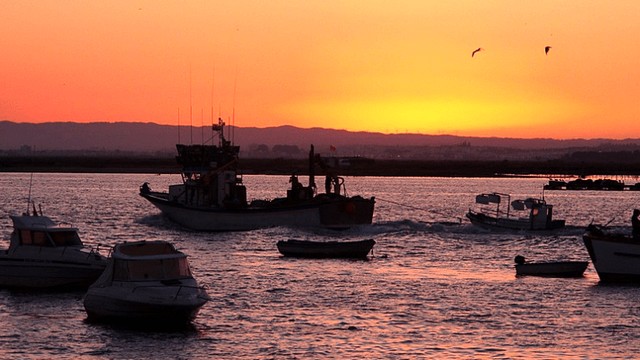Paseo en barco por la ría de Huelva
