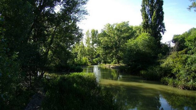 Paseo por la orilla del Carrión