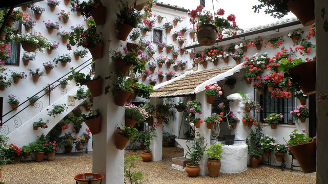 Patios de Córdoba