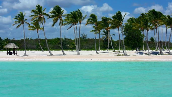 qué ver en punta cana