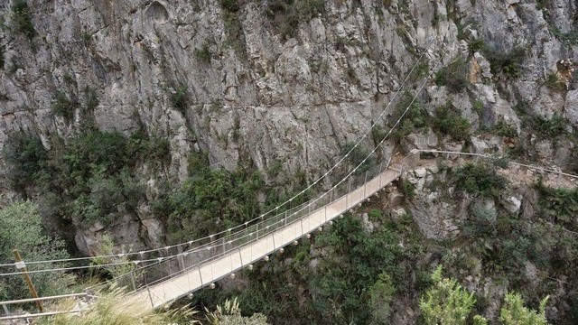 Puentes Colgantes