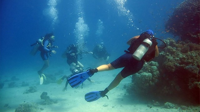 Submarinismo en Jávea