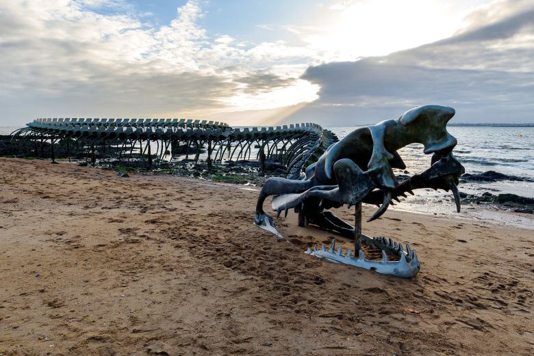 Excursiones desde Nantes