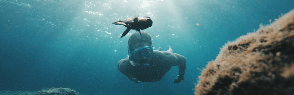 buceo filipinas
