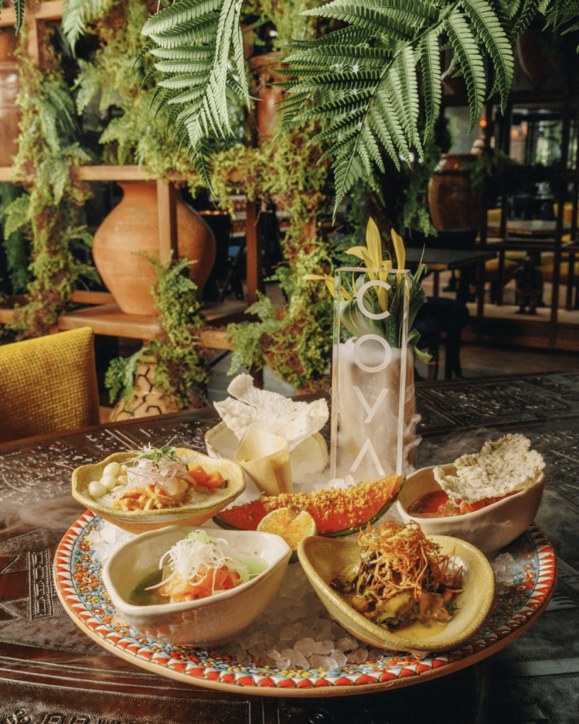 COYA MARBELLA