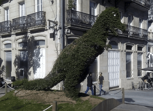 el dinoseto de vigo