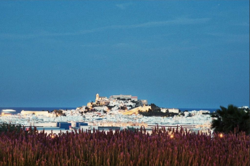 Casa Maca Ibiza - Amorevore