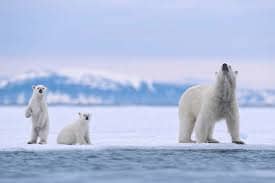 Islas Svalbard
