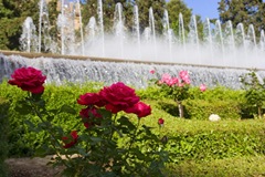 jardines del triunfo