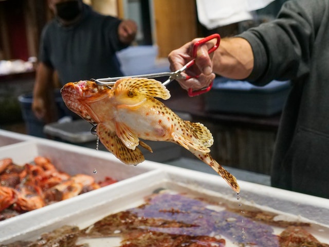 mercado de pescado de Malé qué ver en Maldivas