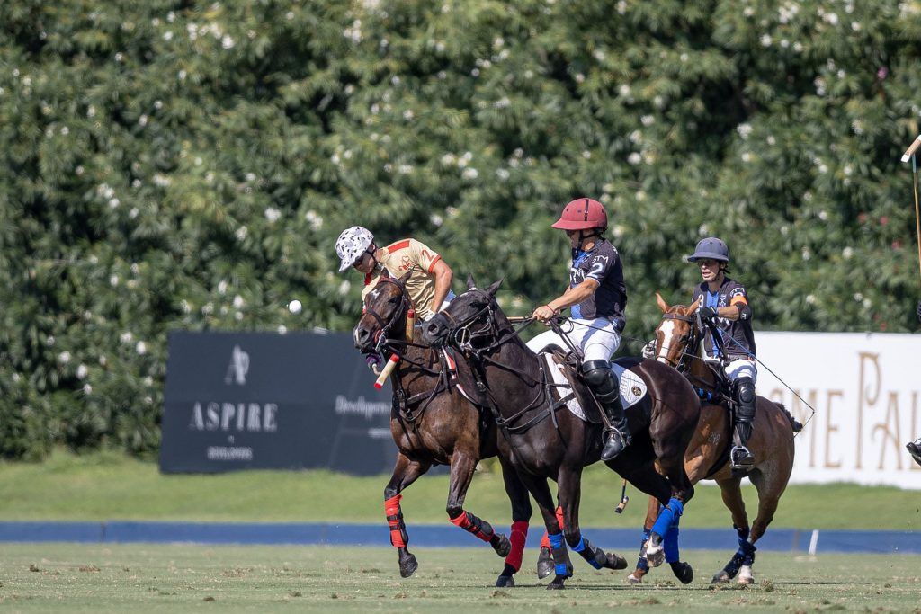 POLO