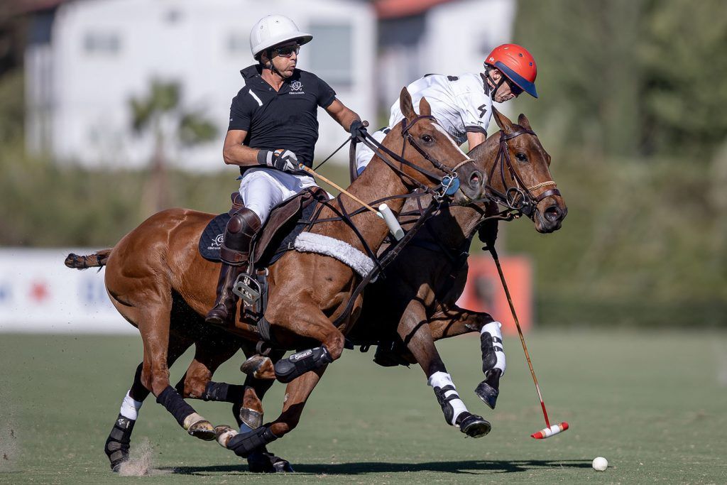 POLO