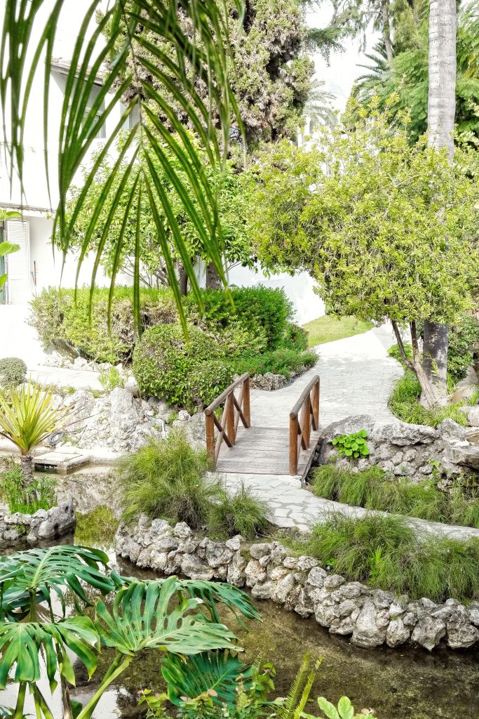 cipriani marbella
