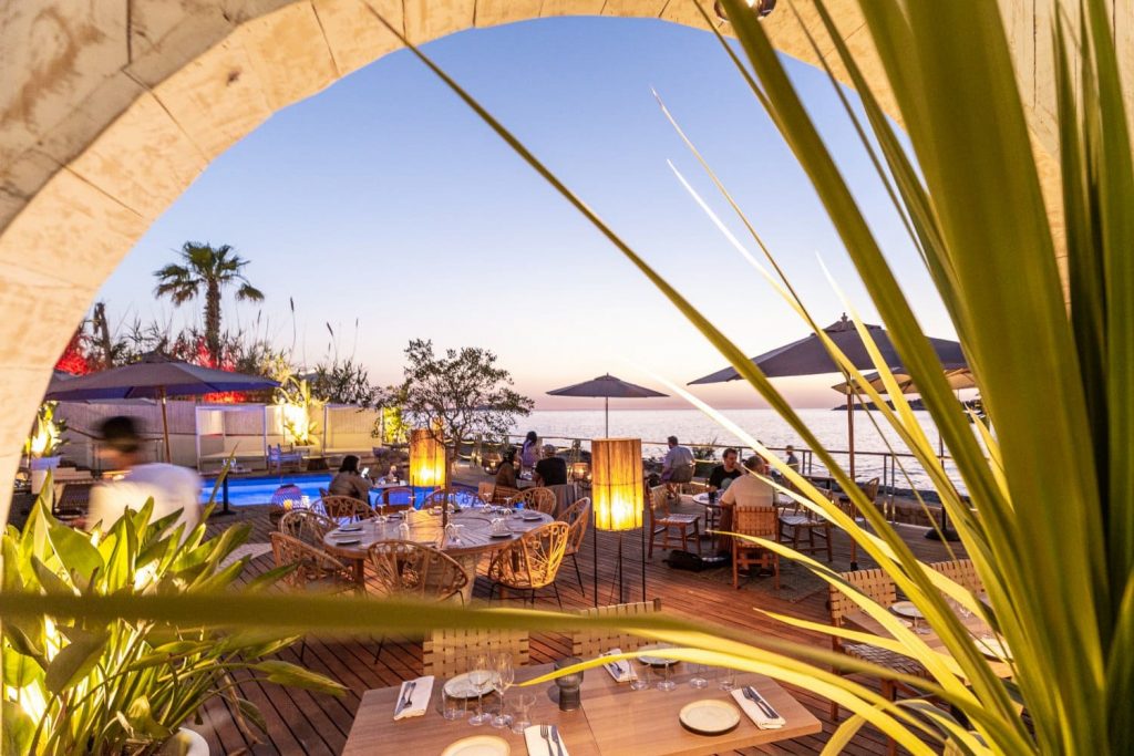 monkey ibiza