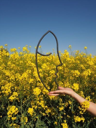 tuscan-wildflowers-salvatore-ferragamo