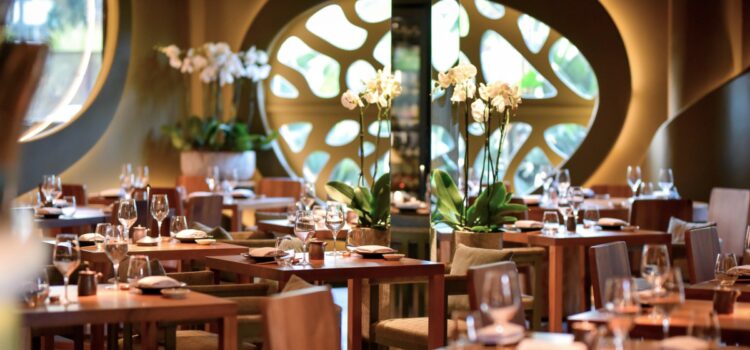 novikov ibiza