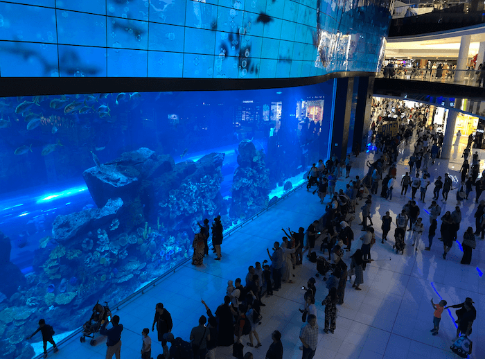 acuario de dubai